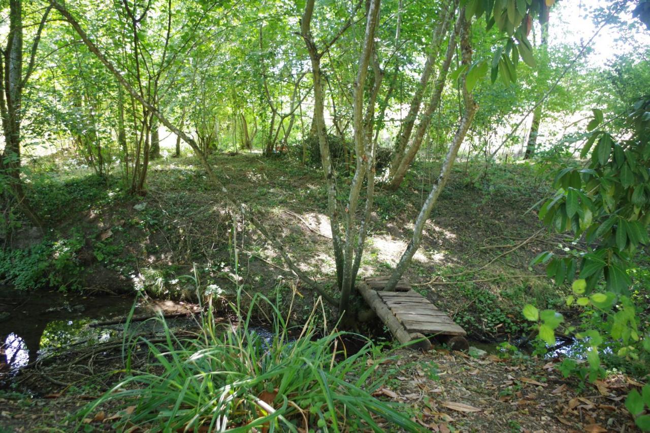 Gite Du Moulin De Vandon Souvigny-de-Touraine Εξωτερικό φωτογραφία